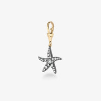10k Yellow Gold