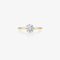 10k Yellow Gold