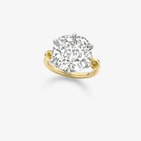10k Yellow Gold